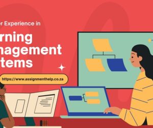 Staff User Experience with Learning Management Systems
