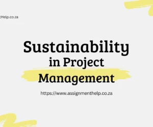 Investigating Sustainability Practices in Project Management